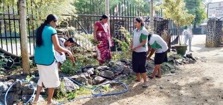 Home gardening program implemented in the office premises